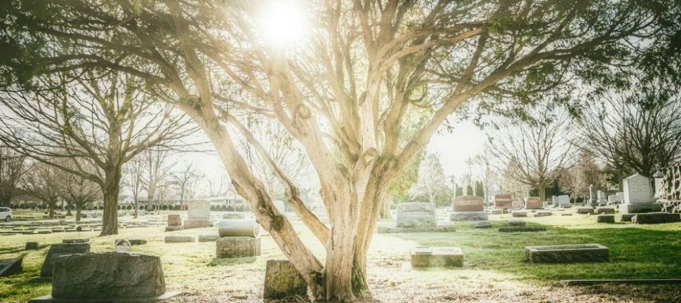 Gravminner: En varig hyllest til livet