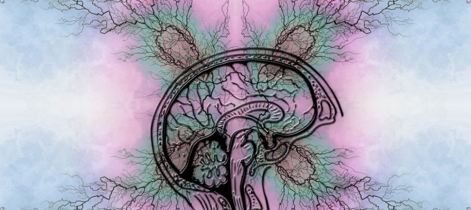 Add diagnose  hva innebærer det, og når bør man utrede?