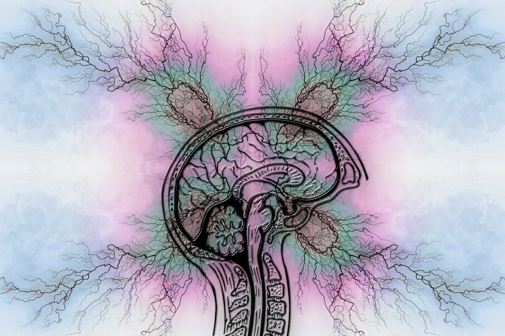 Add diagnose  hva innebærer det, og når bør man utrede?