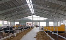 Lagerhall i stål for effektiv og trygg lagring